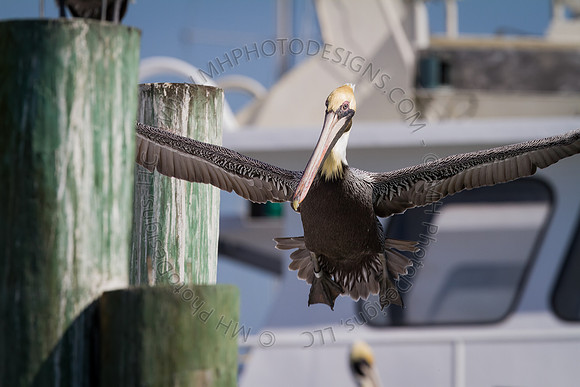 Florida 2012 ~ Week 2-126