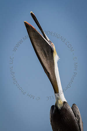Florida 2012 ~ Week 2-121