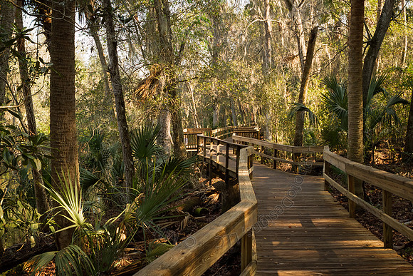 Florida 2012 ~ Week 2-058