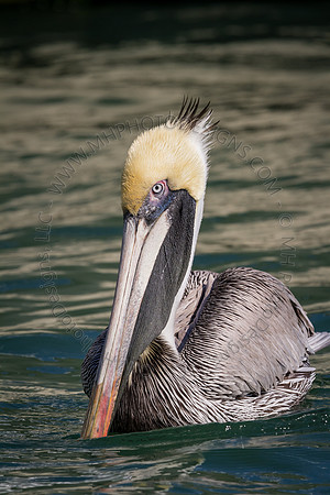 Florida 2012 ~ Week 2-137