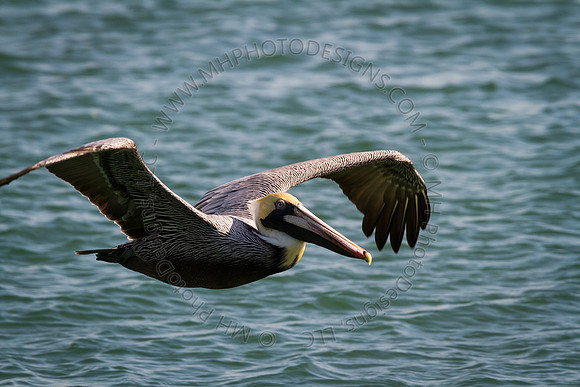 Florida 2012 ~ Week 2-113