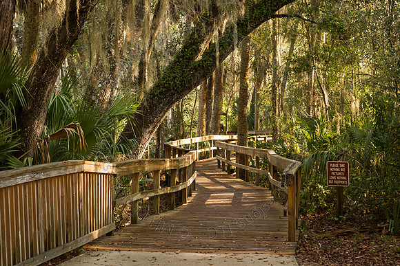 Florida 2012 ~ Week 2-059