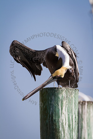 Florida 2012 ~ Week 2-116
