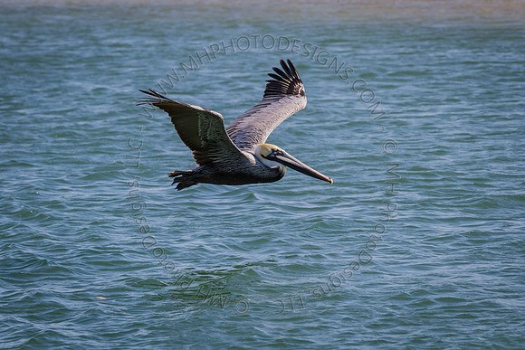 Florida 2012 ~ Week 2-151