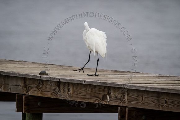 Florida 2012 ~ Week 2-047