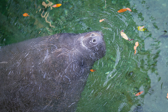 Florida 2012 ~ Week 2-074