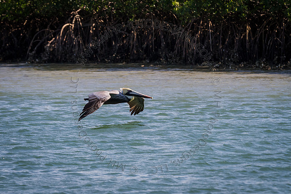 Florida 2012 ~ Week 2-141