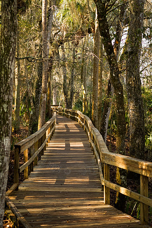 Florida 2012 ~ Week 2-056