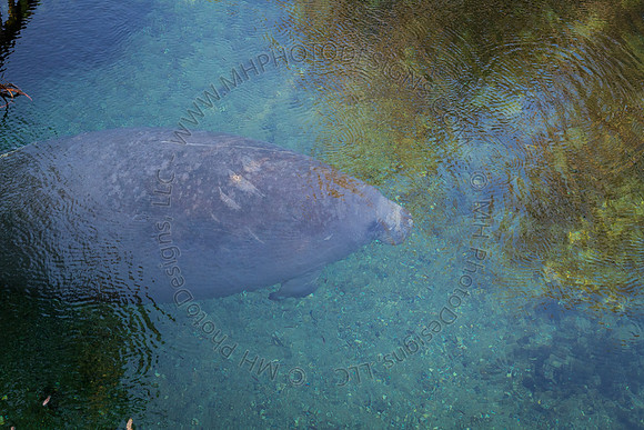Florida 2012 ~ Week 2-051