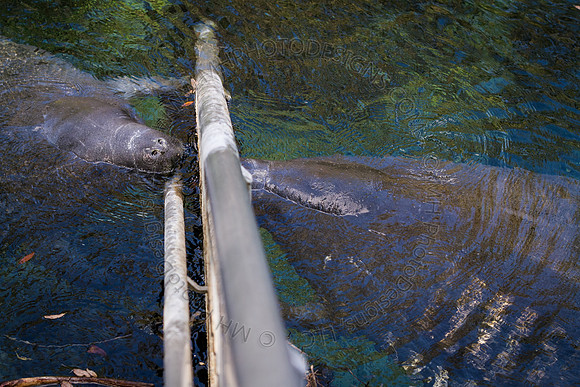 Florida 2012 ~ Week 2-078