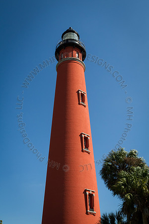 Florida 2012 ~ Week 2-088