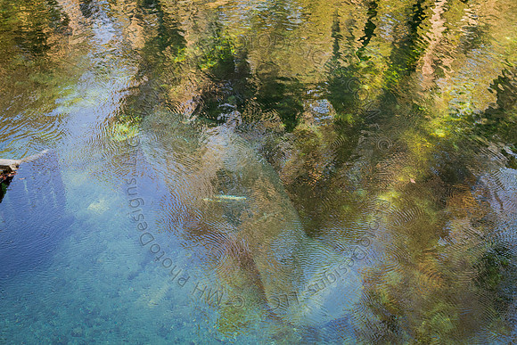 Florida 2012 ~ Week 2-053
