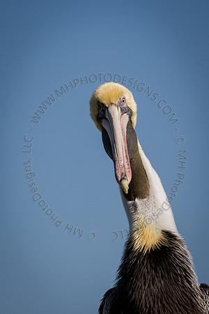 Florida 2012 ~ Week 2-123