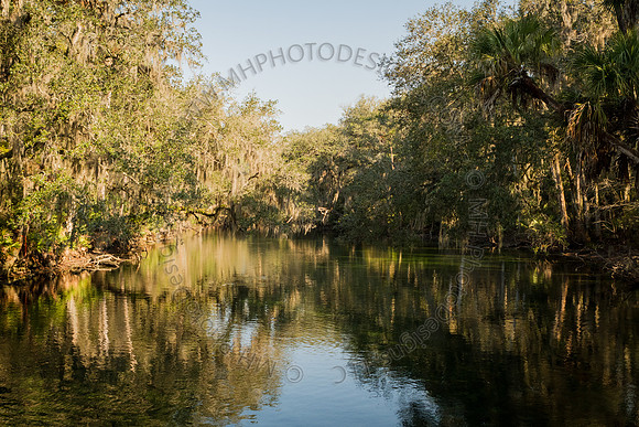 Florida 2012 ~ Week 2-054