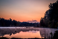 Saratoga Harvest 2012-002