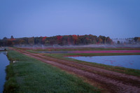 Saratoga Harvest 2012-005