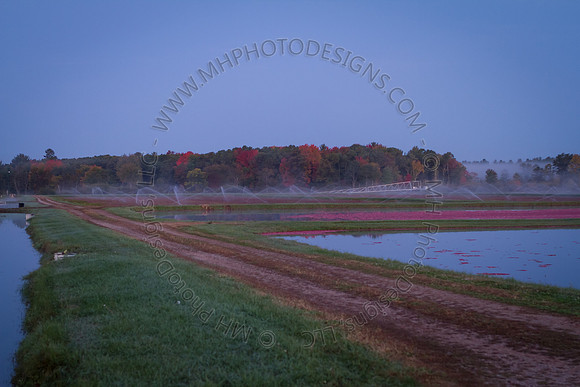 Saratoga Harvest 2012-005