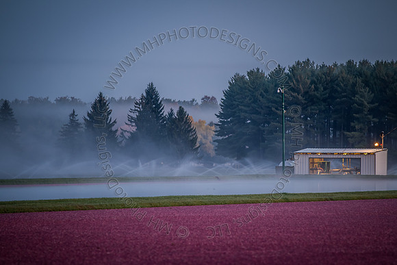 Saratoga Harvest 2012-003