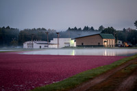Saratoga Harvest 2012-004