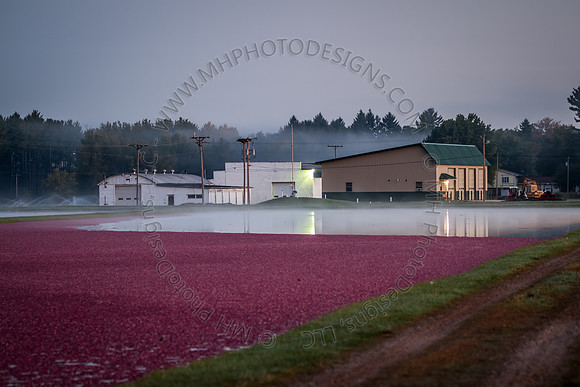 Saratoga Harvest 2012-004