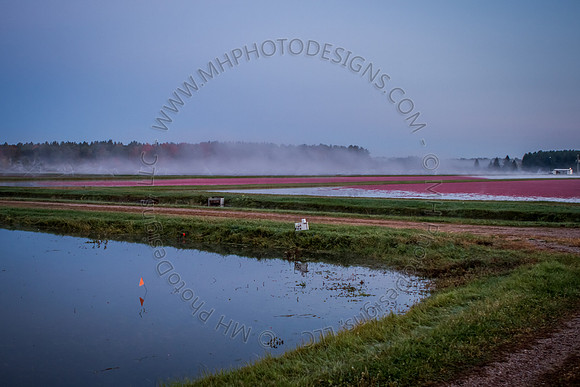 Saratoga Harvest 2012-011