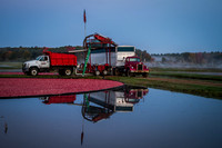 Saratoga Harvest 2012-010