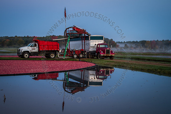 Saratoga Harvest 2012-010