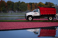 Saratoga Harvest 2012-007