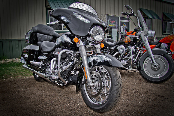 Pipes for Pets 2011 (HDR)-016