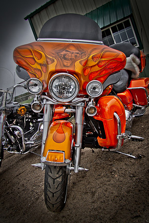 Pipes for Pets 2011 (HDR)-012