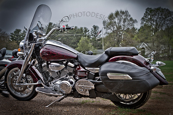Pipes for Pets 2011 (HDR)-008