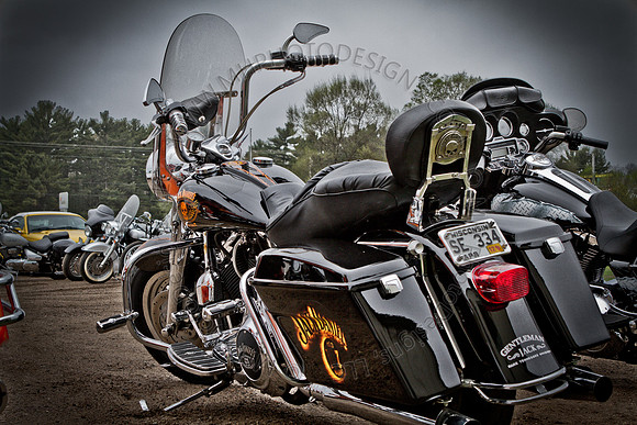 Pipes for Pets 2011 (HDR)-006