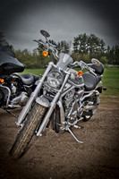 Pipes for Pets 2011 (HDR)-017