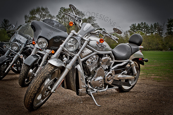 Pipes for Pets 2011 (HDR)-002