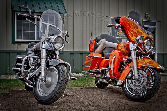 Pipes for Pets 2011 (HDR)-003