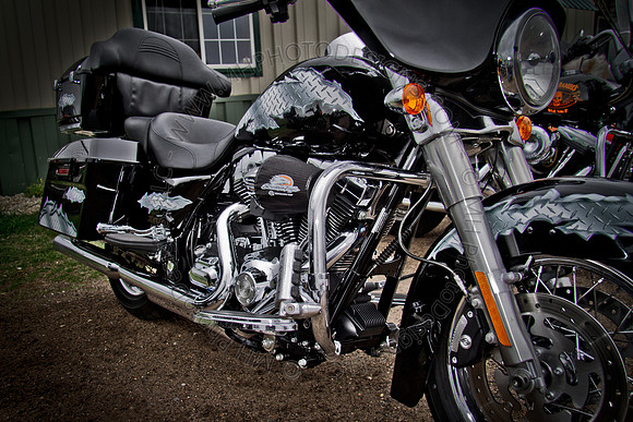 Pipes for Pets 2011 (HDR)-015