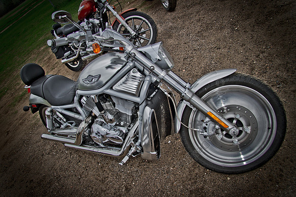 Pipes for Pets 2011 (HDR)-018