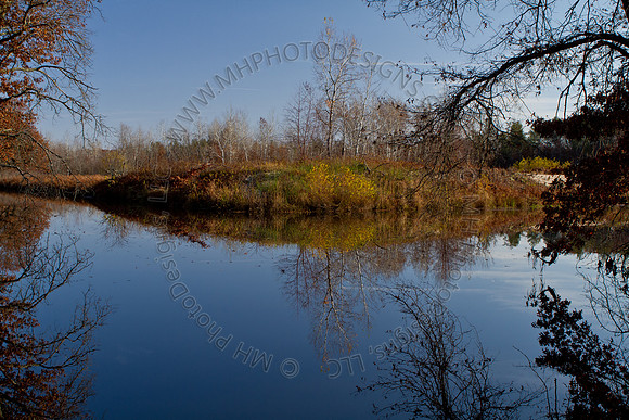 Cranberry Marsh II 2010-065