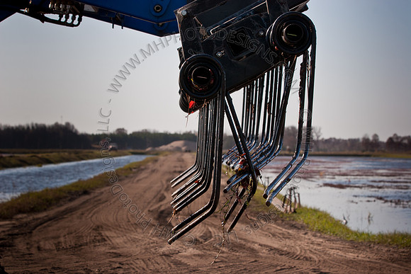 Cranberry Marsh II 2010-077