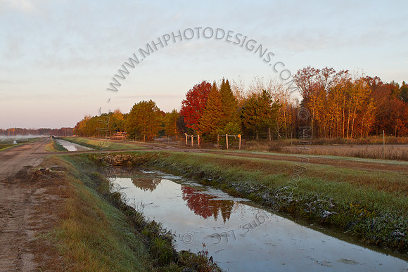 Cranberry Marsh II 2010-016