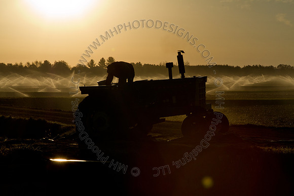 Cranberry Marsh II 2010-028