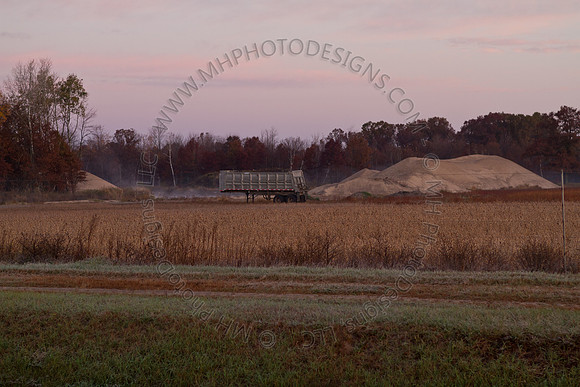 Cranberry Marsh II 2010-006