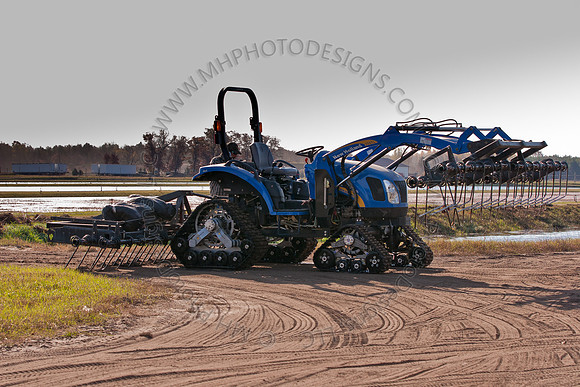 Cranberry Marsh II 2010-075