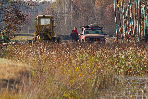 Cranberry Marsh II 2010-059
