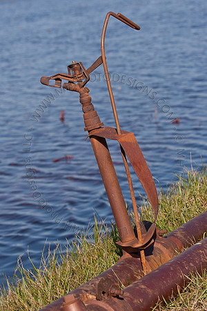 Cranberry Marsh II 2010-112