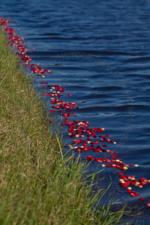 Cranberry Marsh II 2010-118