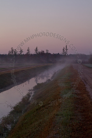 Cranberry Marsh II 2010-003