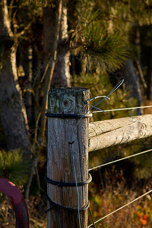 Cranberry Marsh II 2010-029