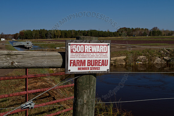 Cranberry Marsh II 2010-121