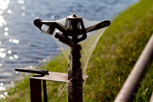 Cranberry Marsh II 2010-083